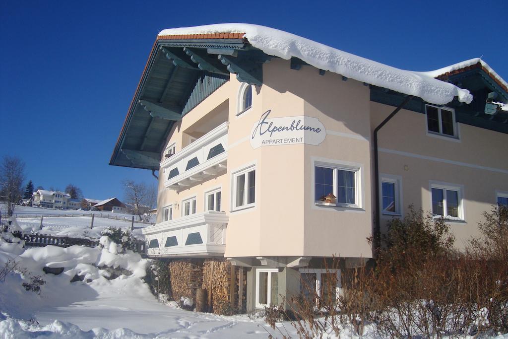Appartement Alpenblume Schladming Dış mekan fotoğraf