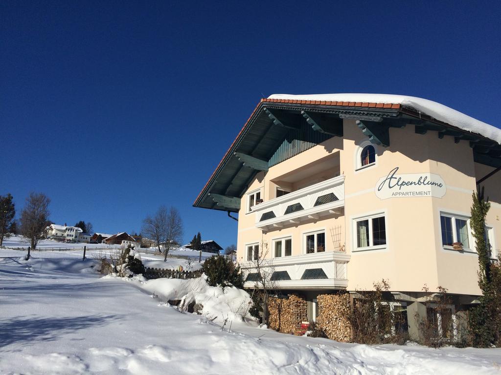 Appartement Alpenblume Schladming Dış mekan fotoğraf