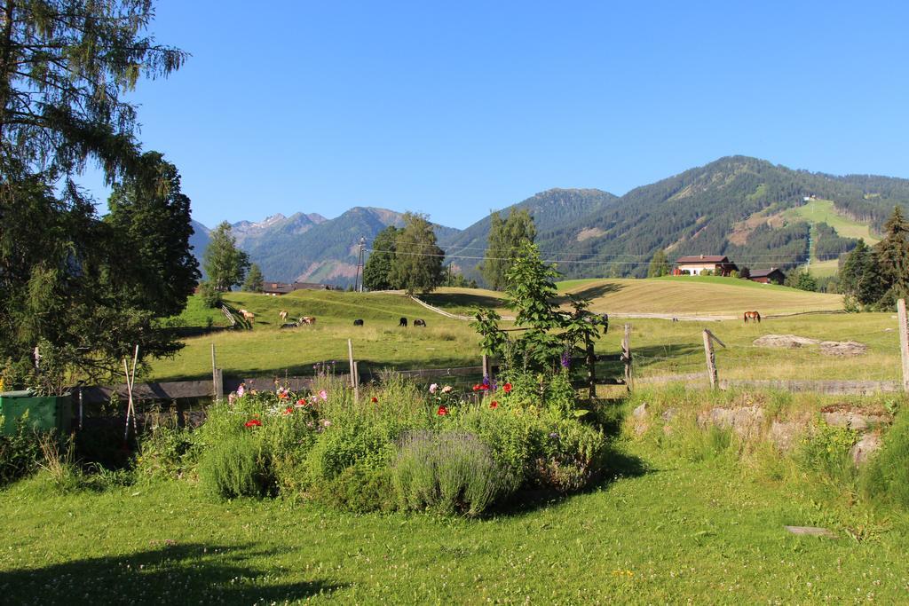 Appartement Alpenblume Schladming Dış mekan fotoğraf